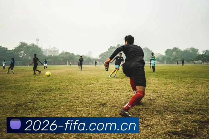 世界杯买球网站发展历程